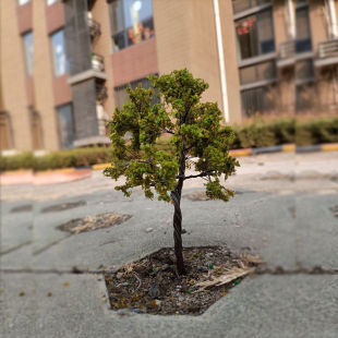 DIY mini model tree building sand table model tree iron wire tree street tree Green 8-18cm
