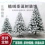 仿真高档圣诞白色雪松树