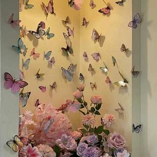 Little Red Book PVC Butterfly Door Curtain Finished Ins Girly Room Fairy Bedroom Decoration Sister Gift Diy Living Room