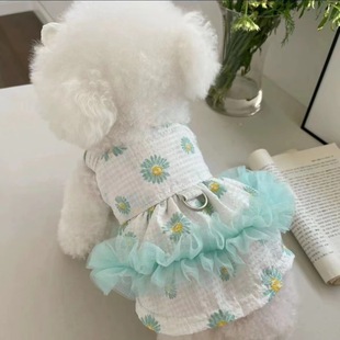 �����·������¿�����Y�����ۼ�ȹ̩�ϱ��ܹ���؈�䱡������·�