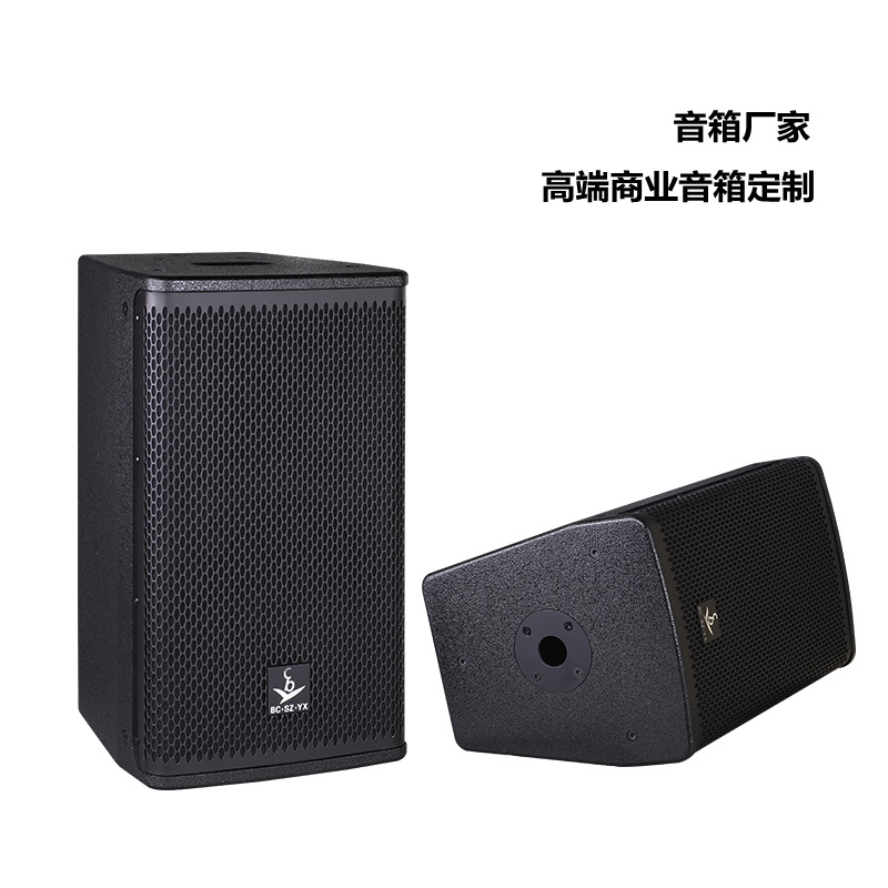 Altavoces profesionales de gama alta personalizados de 10 pulgadas y 12 pulgadas KTV habitación privada bar villa club equipo de audio profesional