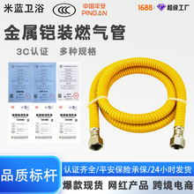 严选4分螺口304不锈钢燃气管煤气管天然气管可埋式波纹管软管批发
