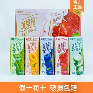 Mengniu Real Fruit Strawberry Blueberry Coconut Fruit 250g*12 Boxes/Full Box Grape Flavored Milk Drink Wholesale
