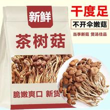 农家茶树菇新货 干货 甄选特级无硫不开伞切根新鲜茶薪菇净重500g