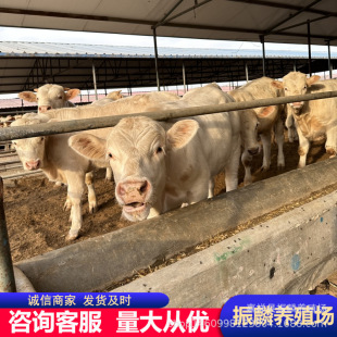 �����R��ţ�كr�� ���������Sţ��ţ�����l����һ�^