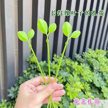 ���~���������~�Ә�֦�̶��Gֲ�@ˇֲ�ｉ��ˇ�g���;Gɫ����С��