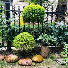 优质黄蜡石小规格 假山造景石材 别墅鱼池驳岸石 园林绿化点缀石