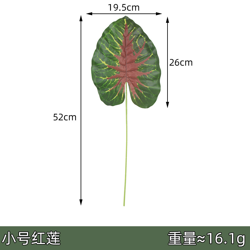 Hoja de loto rojo tamaño pequeño