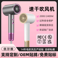 跨境风筒发廊理发店吹风机家用大功率负离子护发电吹风筒厂家直供