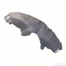 ���ø��� �ڳ�  ESCORT 13-16 REAR RH  CN-15278B50 BC
