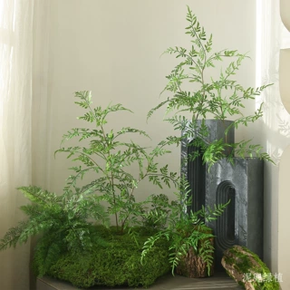仿真植物蕨类家居背景墙插花艺绿植盆栽插花配材手感绿植叶子绿叶