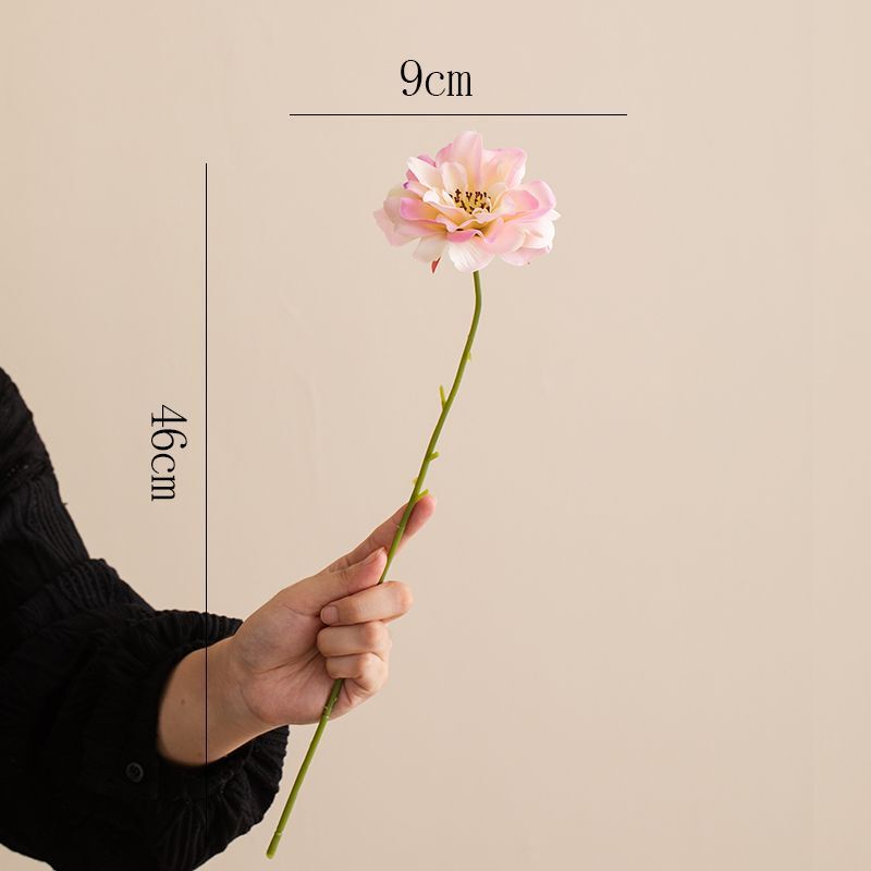 白色现代陶瓷花瓶水养鲜花干花装饰品摆件客厅餐桌摆件花器供应链|undefined