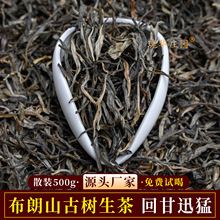 普洱茶布朗山古树生茶散装批发500g现货云南头春勐海班章大叶种茶