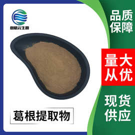 葛根提取物 10:1  现货供应 1Kg/袋 量大从优 葛根提取物粉