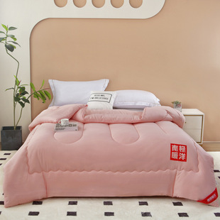 Nantong Factory Store Four-Season Brushed Skin-Friendly Quilt Gift Group Purchase Corporate Welfare Quilt Export Cross-Border Student Quilt