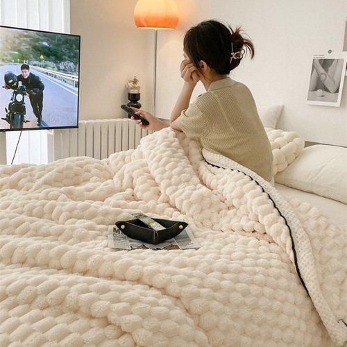 Class A scarab velvet blanket Beibei velvet double-sided velvet cover blanket autumn and winter thickened warm lambswool composite blanket wholesale