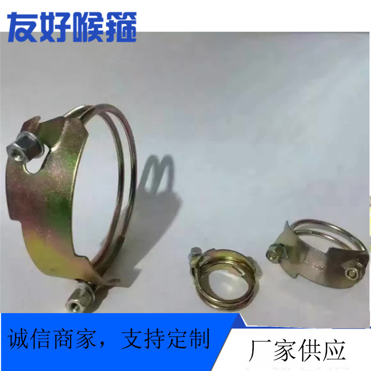Heavy-Duty Galvanized Tiger Clamp with Reinforced Heavy-Duty Pipe Buckle Fixing Buckle for Water Pump, Reinforced Double Steel Wire Hose Clamp