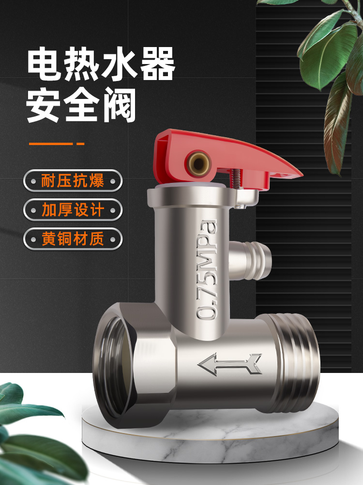 全铜加厚电热水器阀家用泄压阀单向止回减压阀排气阀通用配件