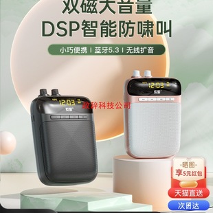 S318 Little Bee Amplifier Teacher Wireless Headset Class Microphone Tour Guide Speaker Speaker