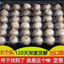 ���������^����ɽ�|���l���ڰl�ͺڴ��⼴ʳ�Ҝ������^���^�Ĺ�Ч