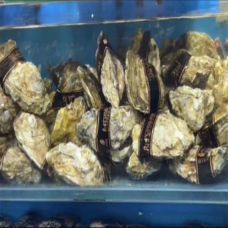 微信图片_20220930220327