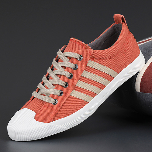 Men's Shoes 2024 Spring New Canvas Shoes Versatile Sports Breathable Shoes Men's Casual Running Shoes Slip-on Trendy Shoes