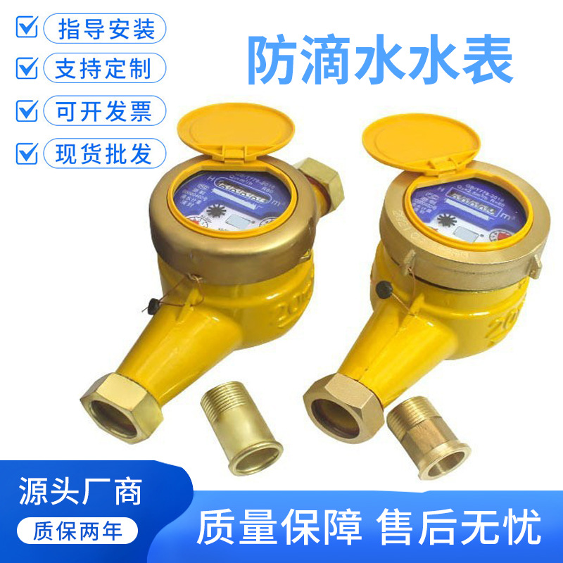 水表家用自来水4分6分出租房专用冷水表防滴水表全铜4分6分dn1520