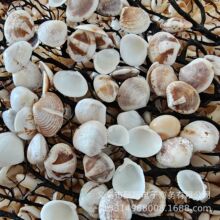 ��Ȼؐ�����ݰ����u �ֹ�DIY���� �~������b� ����ؐ�����l�ĸ�