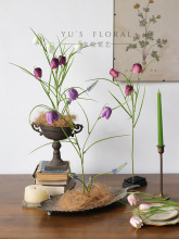 ؐĸ`ӻď͹҃ȼҾb֦ˇٻzӰ