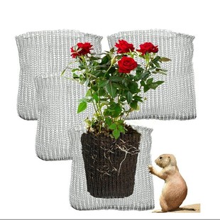 �羳���P�ᘿ����پW����W���x�W��΁ţ�W���oֲ������W����