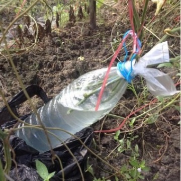 ��Ӧ˿����ȡҺ   ˿����ԭҺ������Ʒ��ɫ����ζ����������