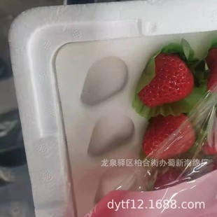 Strawberry Sponge Packaging/Strawberry Buffer Sponge Packaging/Strawberry Loss Prevention Sponge Packaging Strawberry Sponge Lining