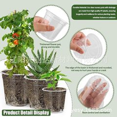胡蝶蘭は透明な植木鉢を厚くして、家庭用の根をコントロールして苗鉢を育成します。