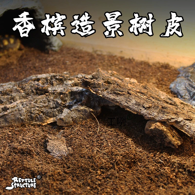 Корка шамбре для террариумов для рептилий, подходит для гекконов, ящериц, скорпионов, змей, пауков, для укрытия и укрытия, также для тлянок и дождевых червей, с сохранением и влагостойкостью.