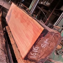 tҰ ԭľ ފWľ t Ʒ|C һоľ