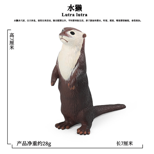 Children's science and education wild animal simulation real model otter water dog otter cat plastic solid toy ornaments wholesale
