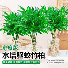��������ˮ��ֲ���҃ȿ͏dˮ�B�Gֲ���������k���������ļ����B