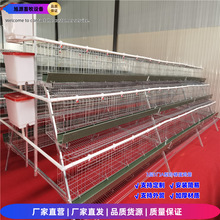 �B�u�\ �������T�A�ݵ��u�\ A�ͻ\ ����\/����\��ˇ�Bֳ�O��