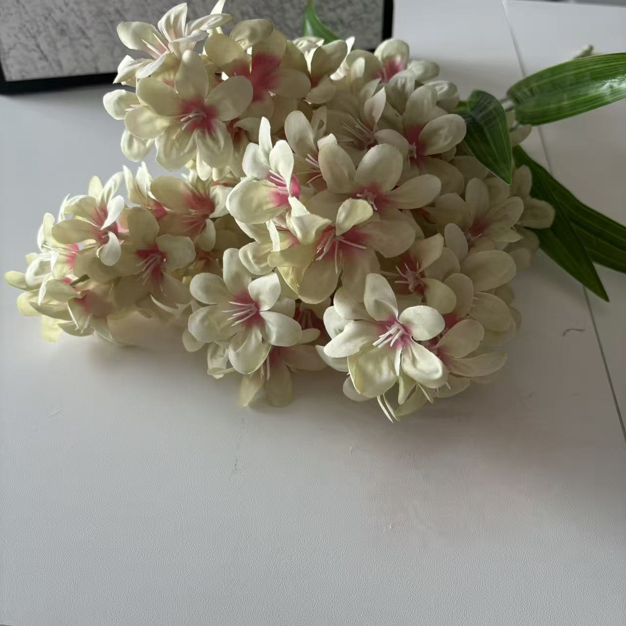 녹색 1