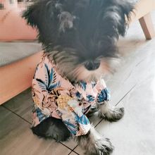 狗狗衣服夏季薄款宠物狗背心比熊博美幼犬小中型犬猫咪宠物用用品