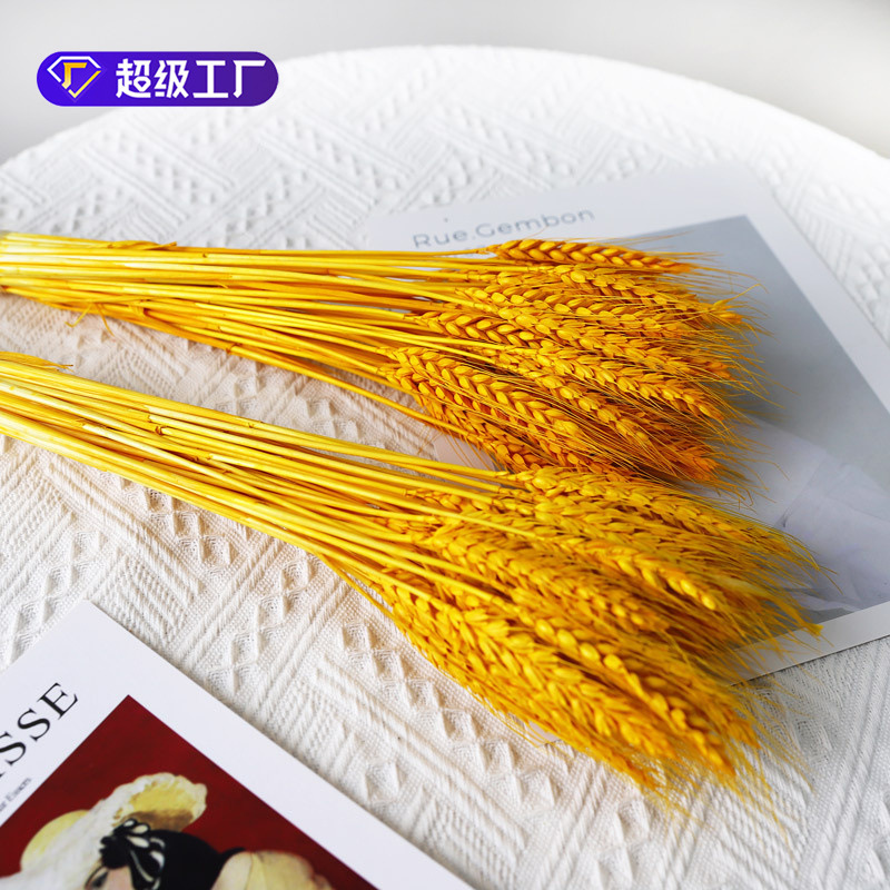 Material de cesta de flor de cebada de celebridad en línea material de ramo seco de oreja de trigo bricolaje decoración del hogar material de embalaje de flores tienda de flores