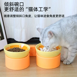 猫猫包、箱;猫猫玩具;猫厕所