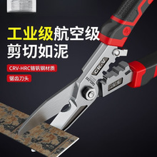 �����FƤ�������I���p����ǲ��P䓵��F�z�􄃾������Q