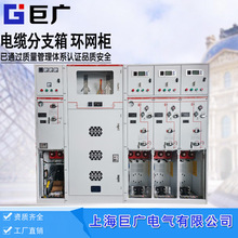 10KV高压环网柜开关柜HXGN15进线柜出线柜PT柜隔离柜母联柜成套柜