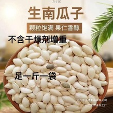 新鲜电商生南瓜子带皮干燥剂足足斤新货增重南瓜子不含两跨境