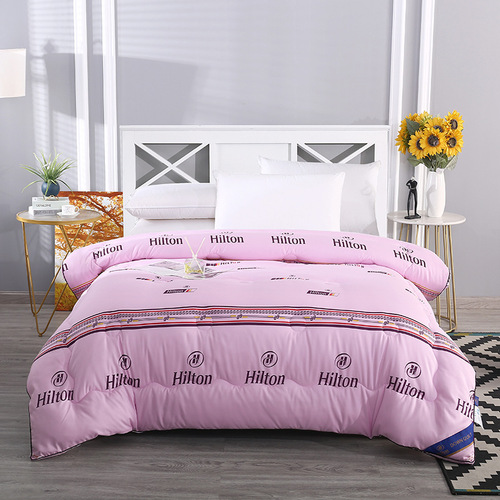 2FNM Silk Pillowcase Mulberry Silk Full Cotton Thick Winter Warm 3D Pillow Cover Dorm Single Spring and Autumn Seasonal Pillowcore