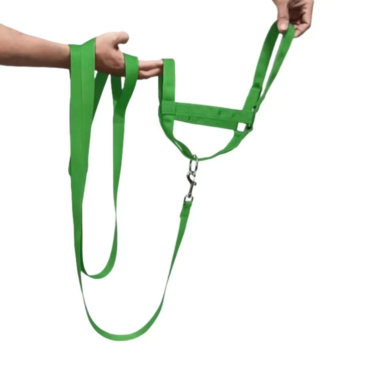 Caballo Día de San Patricio Caballo Sombrero de Navidad Caballo Cuerda de Navidad Cubierta de pie de caballo Amazon mismo estilo