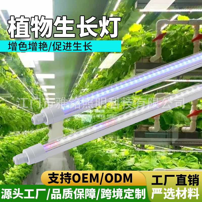 跨境库存t8全光谱灯管植物生长灯室内植物灯蔬菜花卉绿植组培防水