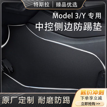 �m�����˹��ModelY3�пط��߉|�ɂȽqë�汣�o�������{�Ѿ���