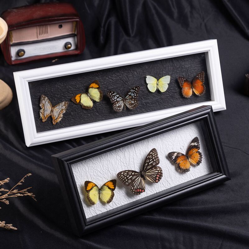 Butterfly Specimen Photo Frame DIY Handmade Rectangular Hollow Photo Frame Decoration Love and Deep Space Poster Frame